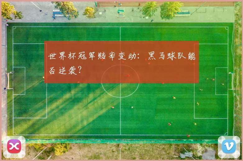 世界杯冠军赔率变动：黑马球队能否逆袭？