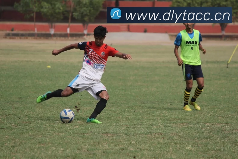 尊龙凯时 - 官方网站发展历程